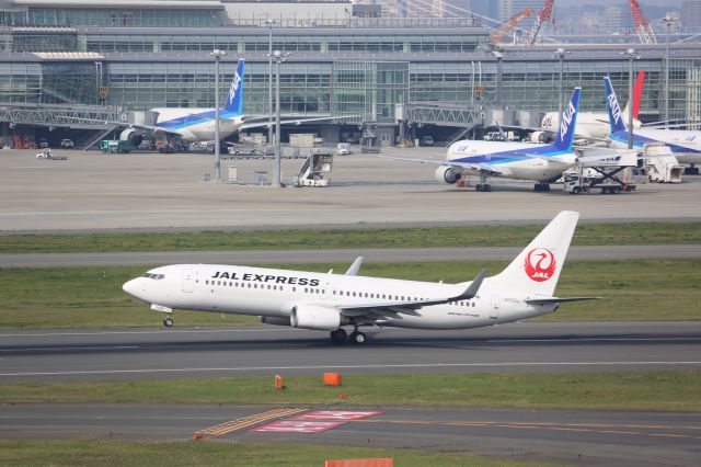 Boeing 737-800 (JA309J)