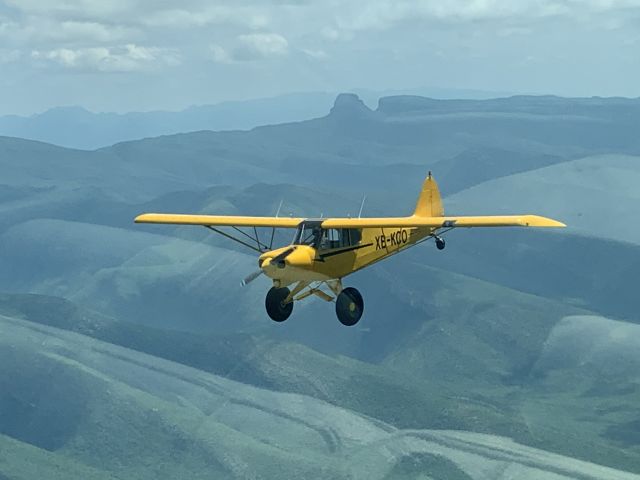 Piper L-21 Super Cub (XB-KCO)