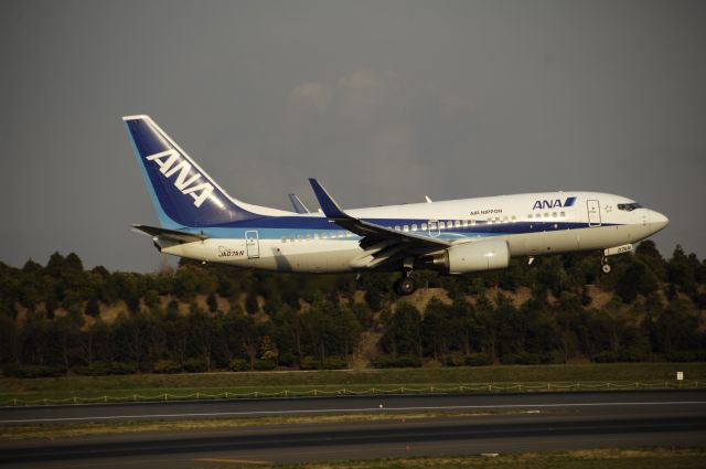 Boeing 737-800 (JA07AN) - Landing at NRT Airport Runway 16L on 2011/11/23 ANA c/s