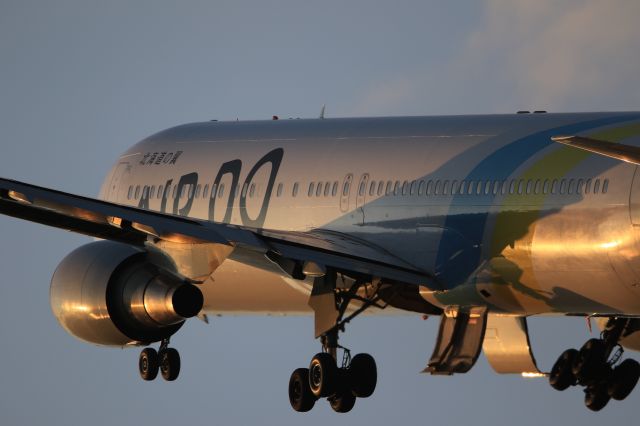 BOEING 767-300 (JA01HD) - September 29th 2019:HKD-HND.