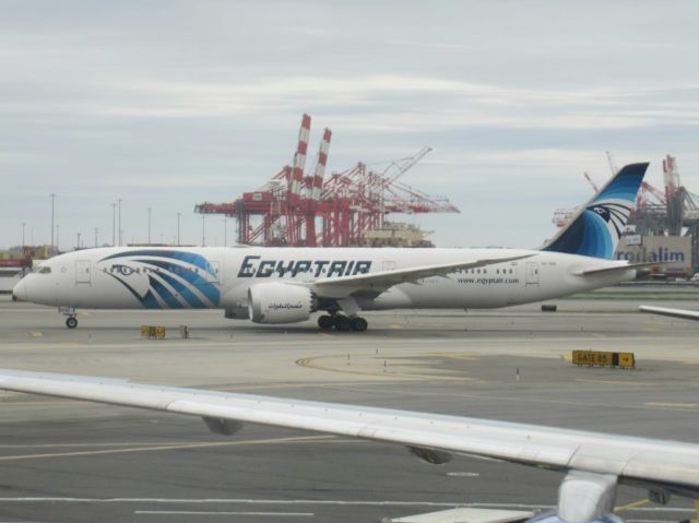 Boeing 787-9 Dreamliner (SU-GER)