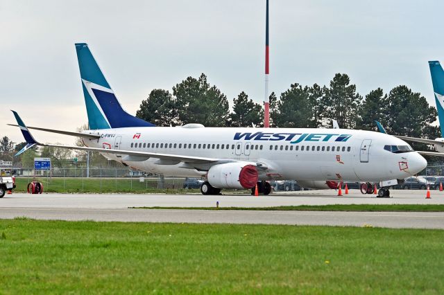 Boeing 737-800 (C-FWVJ) - All taped up for long term storage COVID-19 time