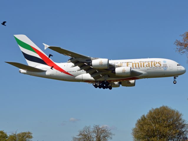 Airbus A380-800 (A6-EOS) - St. Magleby RWY04Rbr /Close to birdstrike