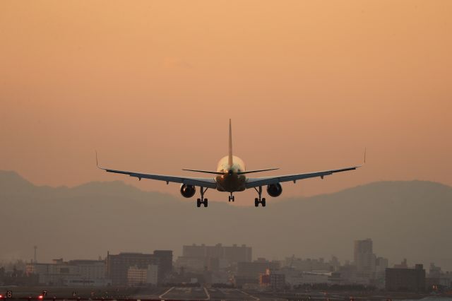 Airbus A320 (JA11VA) - March 2nd 2019:NRT-HKD.