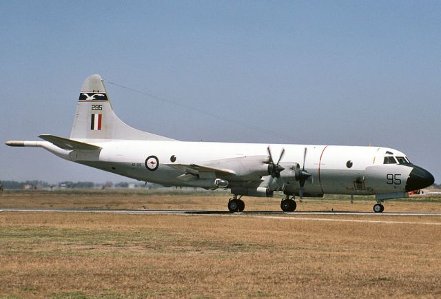 A9295 — - AUSTRALIA - AIR FORCE - LOCKHEED P-3B ORION - REG A9-295 / 95 (CN 185B-5405) - EDINBURGH RAAF BASE ADELAIDE SA. AUSTRALIA - YPED 11/11/1982