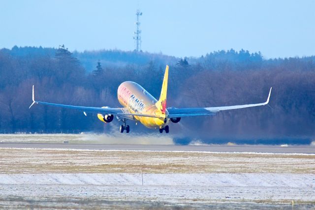 Boeing 737-800 (D-ATUD)