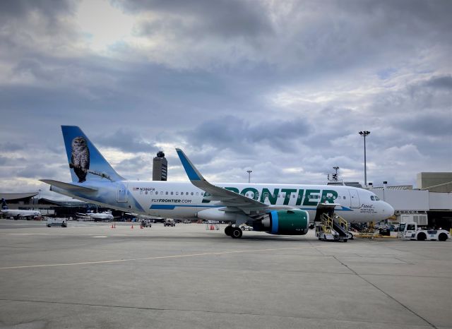 Airbus A320neo (N386FR) - Forrest the Northern Spotted Owlbr /12/26/2021