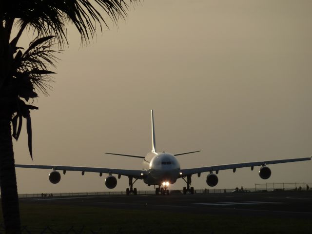 Airbus A340-300 (F-GLZJ)