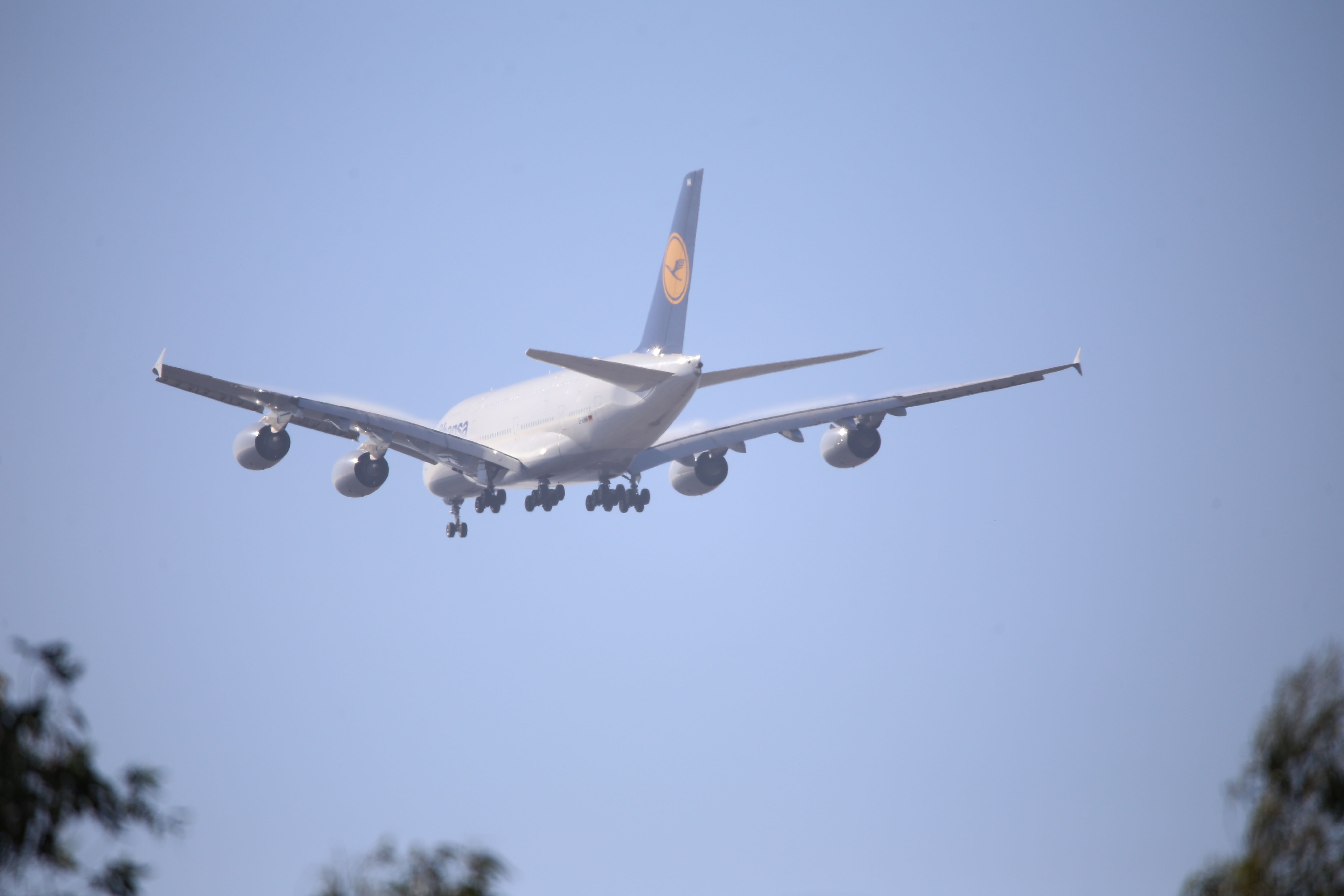 Airbus A380-800 (D-AIMM)