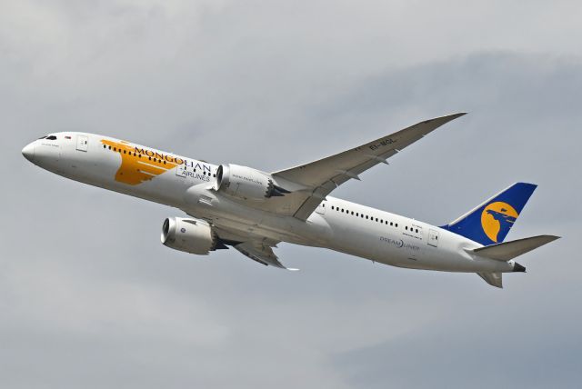 Boeing 787-9 Dreamliner (EI-MGL)