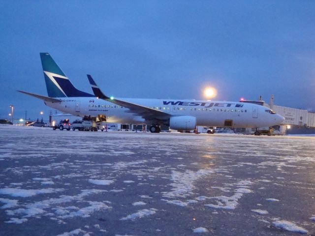 Boeing 737-800 (C-GWWJ)