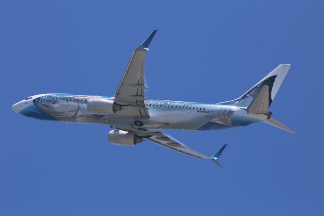 Boeing 737-800 (N559AS)