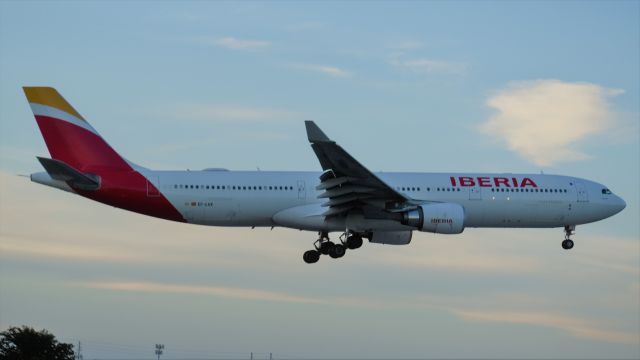 Airbus A330-300 (EC-LUX) - Arriving from Madrid,Barajas(LEMD)