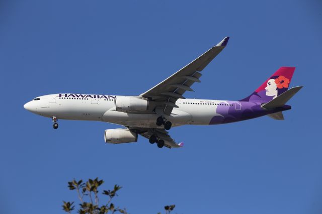 Airbus A330-200 (N393HA)