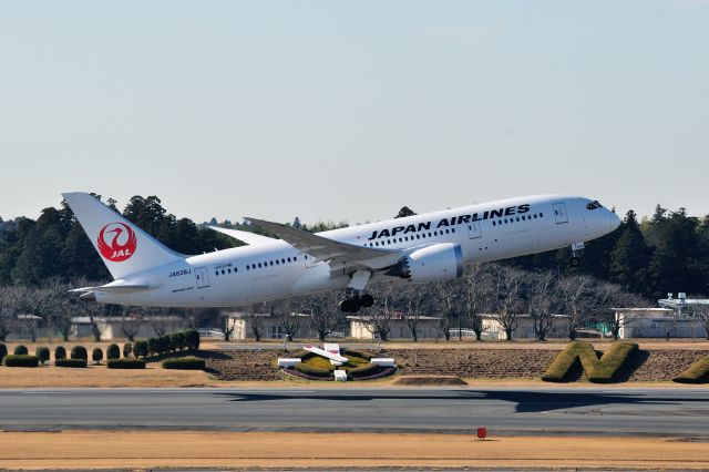 Boeing 787-8 (JA838J) - 2016/1/14