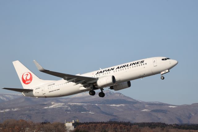 Boeing 737-800 (JA316J) - February 18, 2024:HKD-HND.