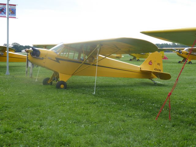 Piper L-18B Cub Special (N42436)