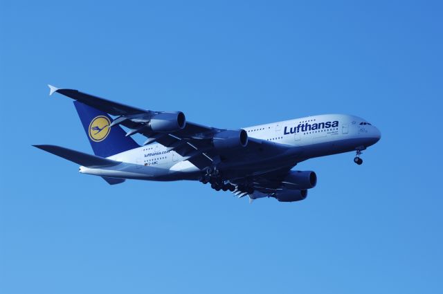 Airbus A380-800 (D-DIMC) - Final Approach to NRT Airport Runway 34L on 2011/12/12