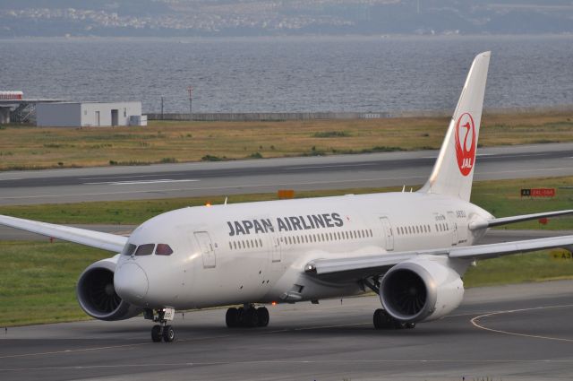 Boeing 787-8 (JA830J)