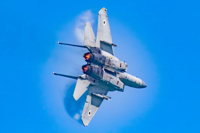 McDonnell Douglas F-15 Eagle (0733)