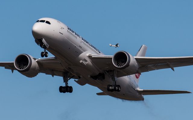 JA822J — - JAL