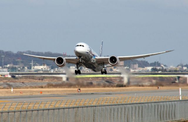 Boeing 787-8 (JA817A)