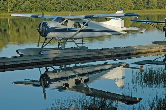 De Havilland Canada DHC-2 Mk1 Beaver (C-FZXD) - 1959 De Havilland DHC-2 Mk. I Beaver (1336) at Orillia/Lake St. John Water Aerodrome (CVN6) on September 17, 2019