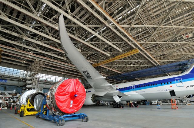 Boeing 787-8 (JA822A) - 2014/7/14