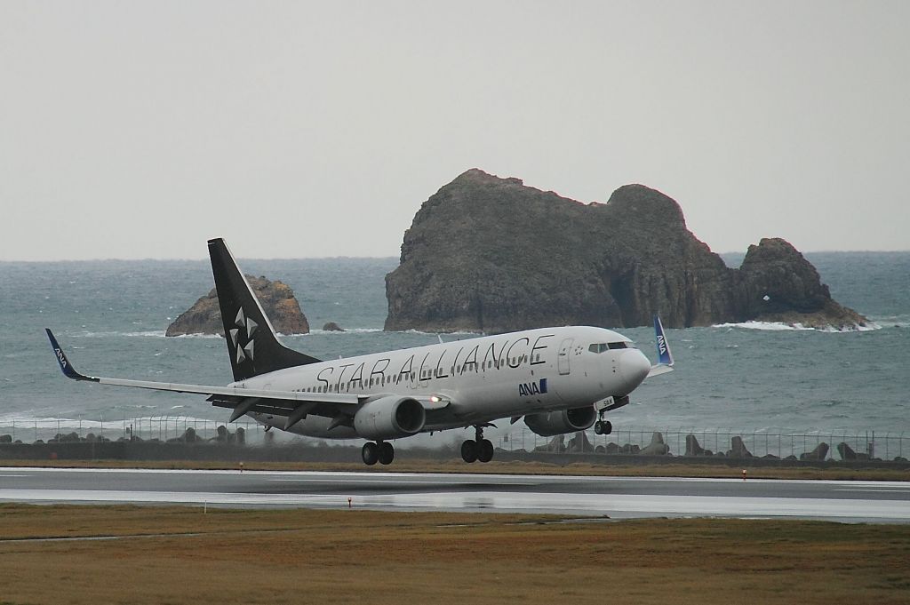 Boeing 737-800 (JA51AN)