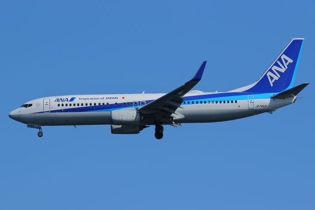 Boeing 737-800 (JA74AN)