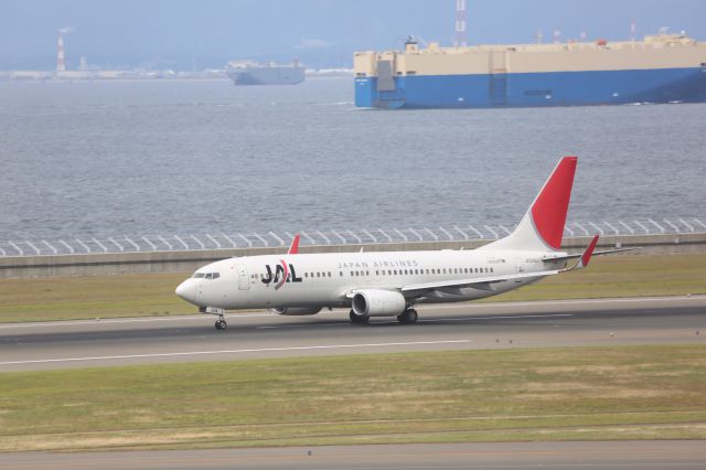 Boeing 737-800 (JA304J)