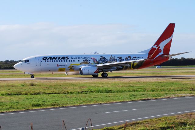 Boeing 737-800 (VH-VZD) - OPTUS ZOO C/S