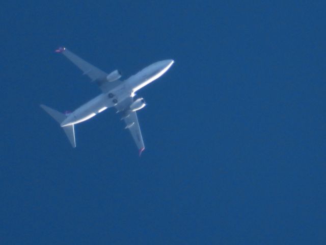Boeing 737-800 (C-GFMP) - WSW631br /CUN-YEGbr /01/22/22