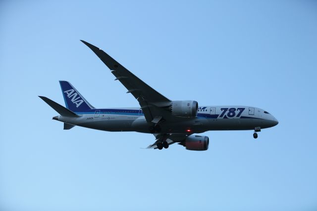 Boeing 787-8 (JA812A) - 08 August 2015:HND-HKD.