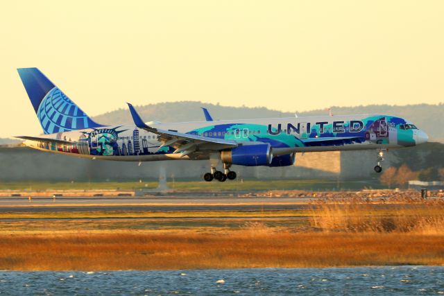 Boeing 757-200 (N14102) - United's 'Her Art Here-New York/New Jersey' arriving with the red-eye from San Francisco (12/17)