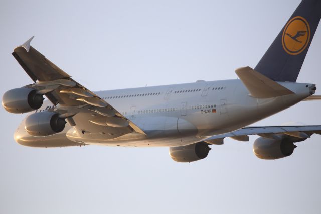 Airbus A380-800 (D-AIMH)