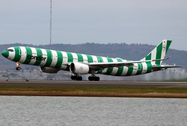 Airbus A330-900 (D-ANRD)