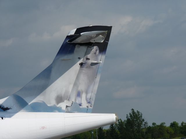 C-GRMZ — - NEW Artic Fox depicted on tail