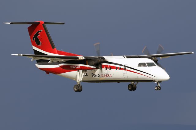 de Havilland Dash 8-100 (N885EA)