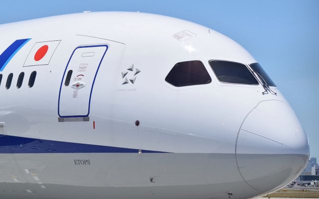 Boeing 787-9 Dreamliner (JA872A) - ANA 787-9 JA872A standing at Sydney Kingsford Smith Intl Airport