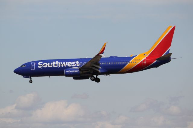 Boeing 737-800 (N8302F)