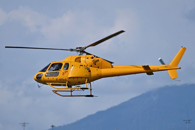 HELIBRAS VH-55 Esquilo (C-GTLC)