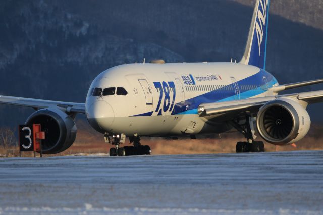 Boeing 787-8 (JA818A) - January 5th 2020:HKD-HND.