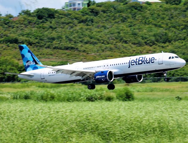 Airbus A321neo (N2060J)
