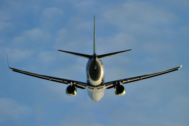 Boeing 737-800 (JA809X) - Skynet Asia Airways Co., Ltd.=Solaseed Air