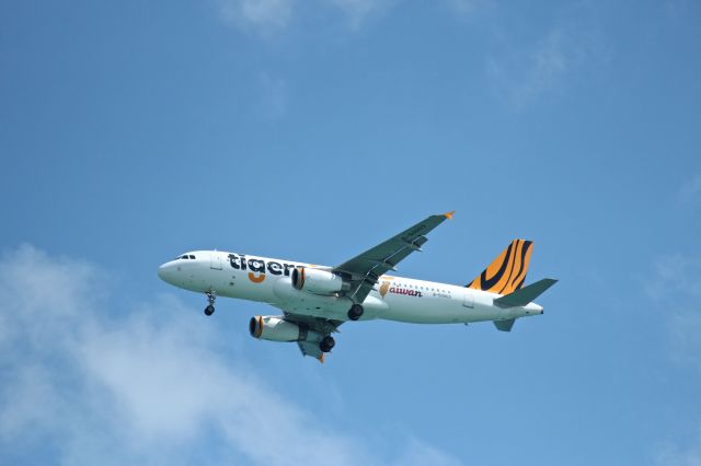 Airbus A320 (B-50003)