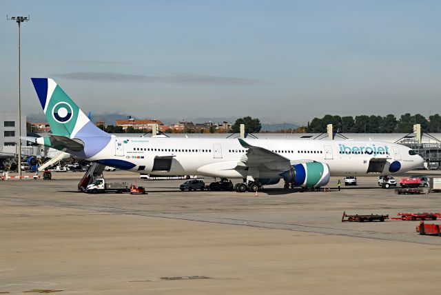Airbus A330-900 (CS-TKH)