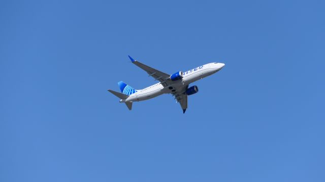 Boeing 737 MAX 8 (N17300)