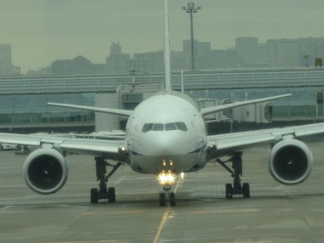 Boeing 777-200 (JA743A) - 羽田空港第2ターミナル66番スポットと67番スポットの中間で撮影。