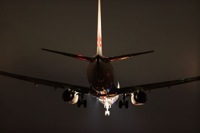 Boeing 737-800 (JA305J) - December 4th 2020: HND-HKD.